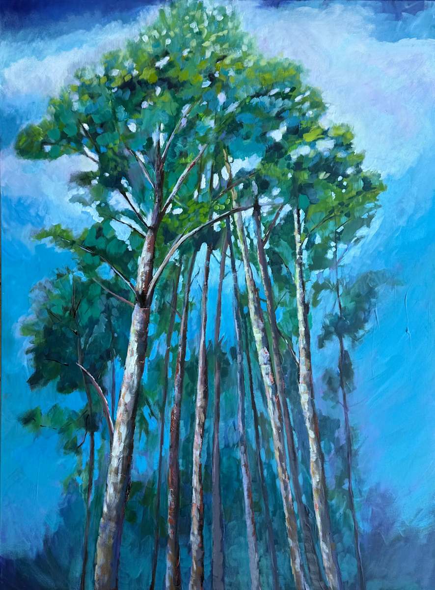 Cape Fear Canopy by Natalie Campbell, Image 1.