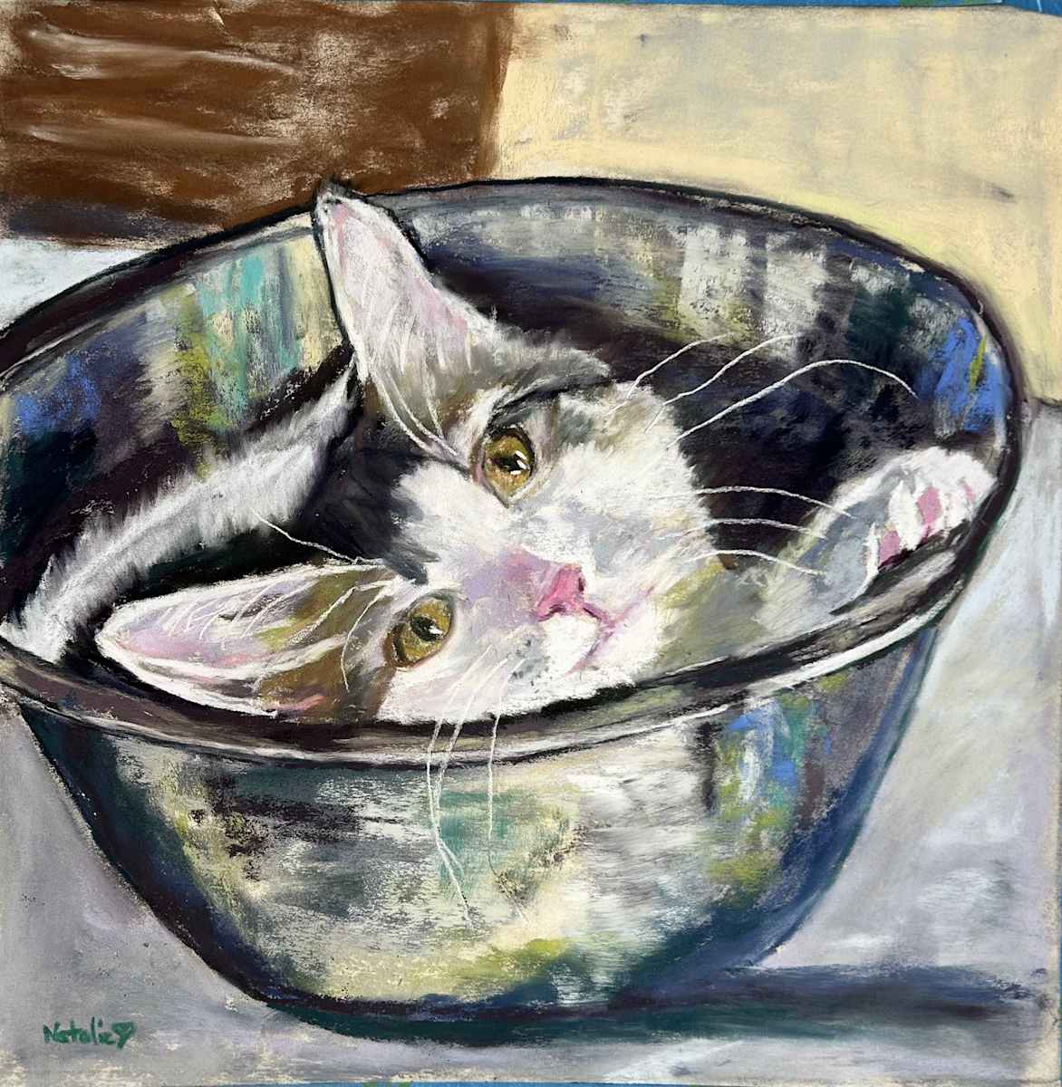 Lucy by Natalie Campbell  Image: 8x10 Lucy in bowl Pastel. Commissioned and Sold.  8x10