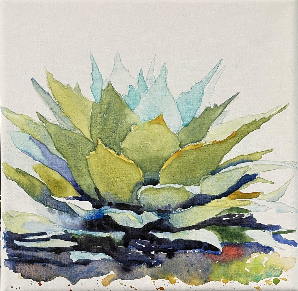 Agave I 