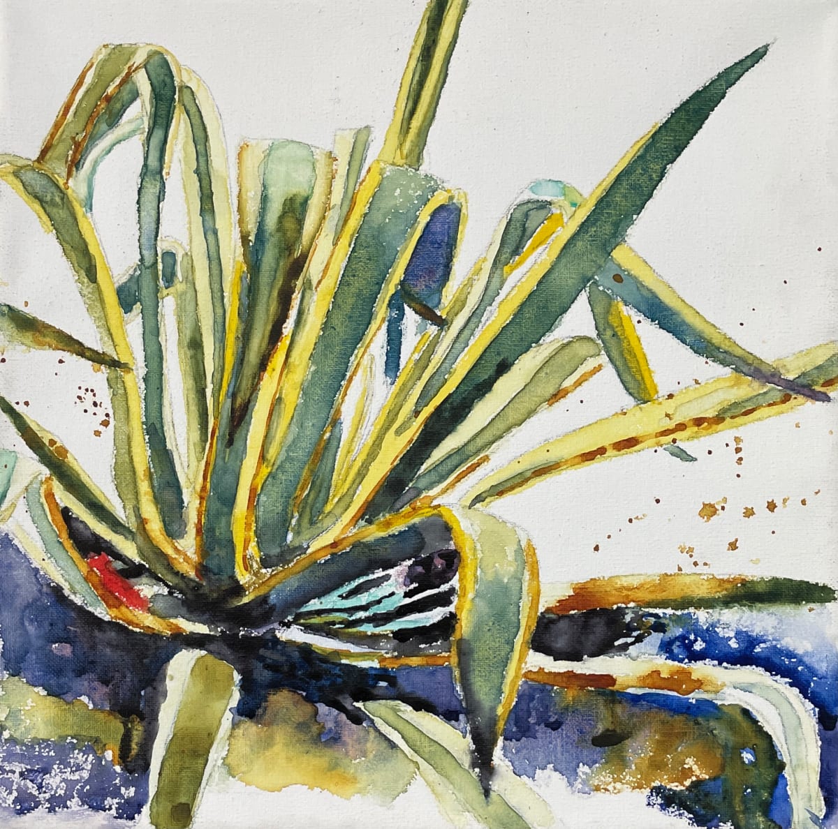 Agave III 