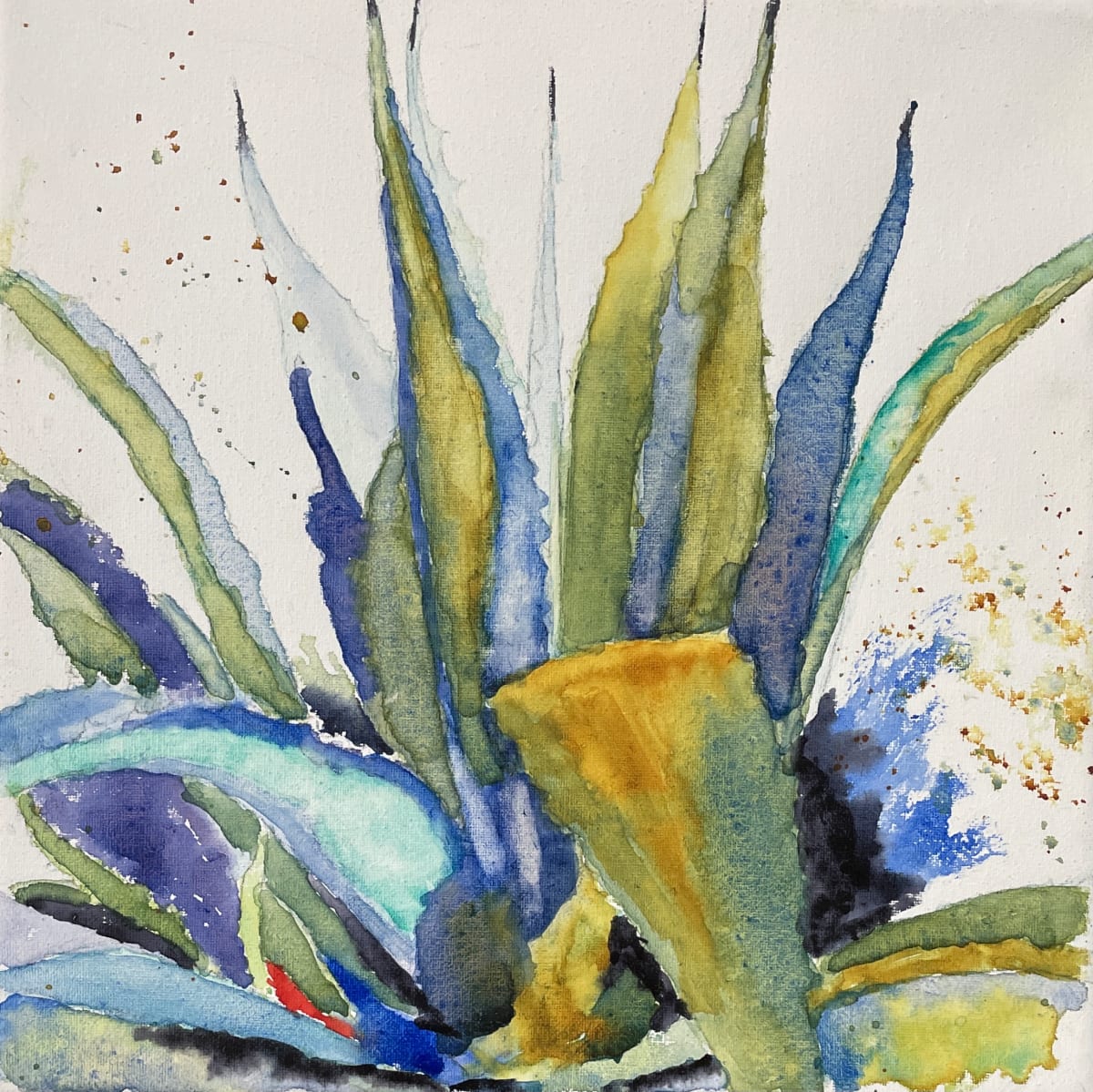 Agave II 