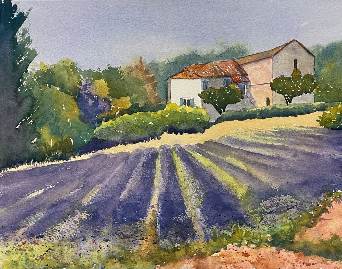 Lavender Fields by Margie Hildreth 