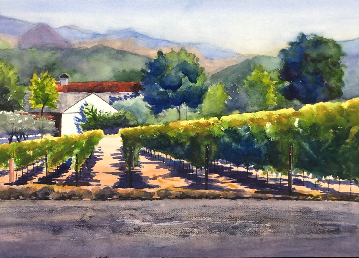 Sonoma 