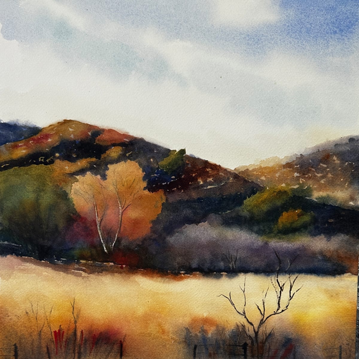 Near Alpine by Margie Hildreth, Image 1.