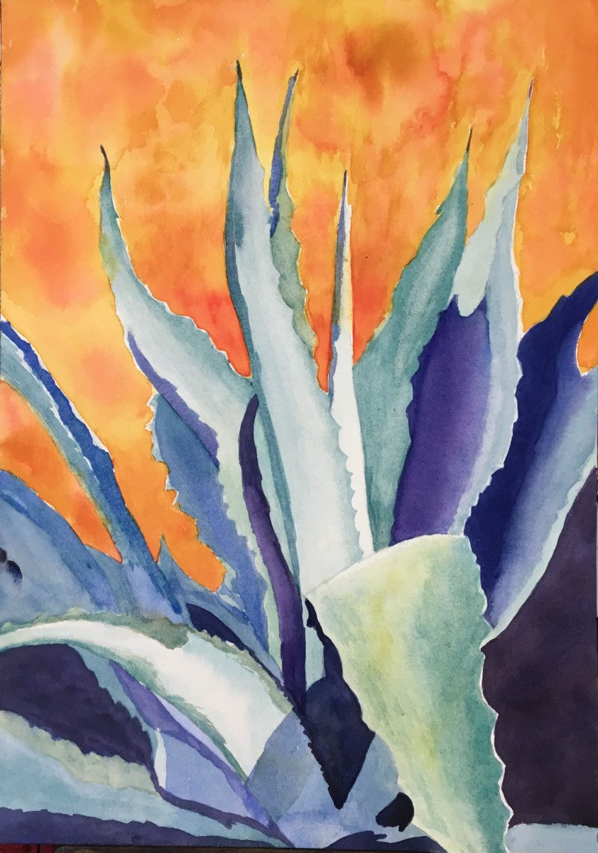 Agave by Margie Hildreth 