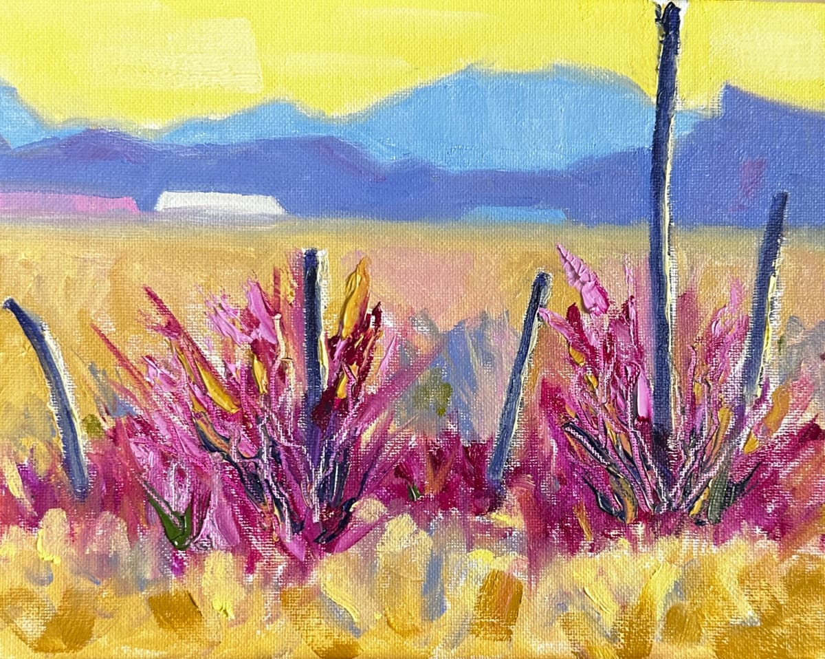 A Desert Place by Margie Hildreth 