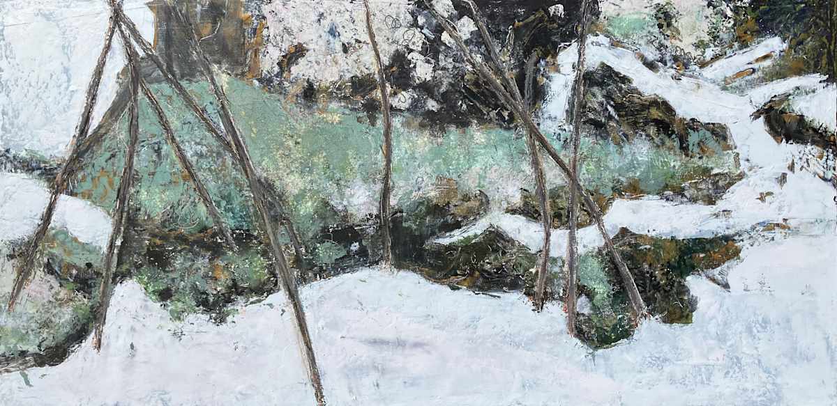 Lichen in Snow by Liz Jackson 