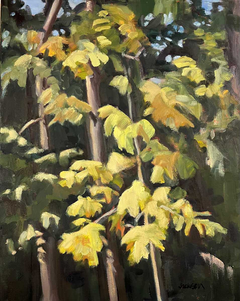 First Leaves Turning by Liz Jackson 