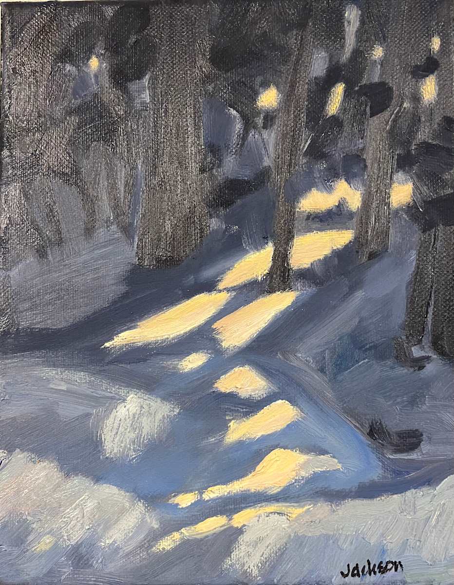 Winter Light by Liz Jackson 