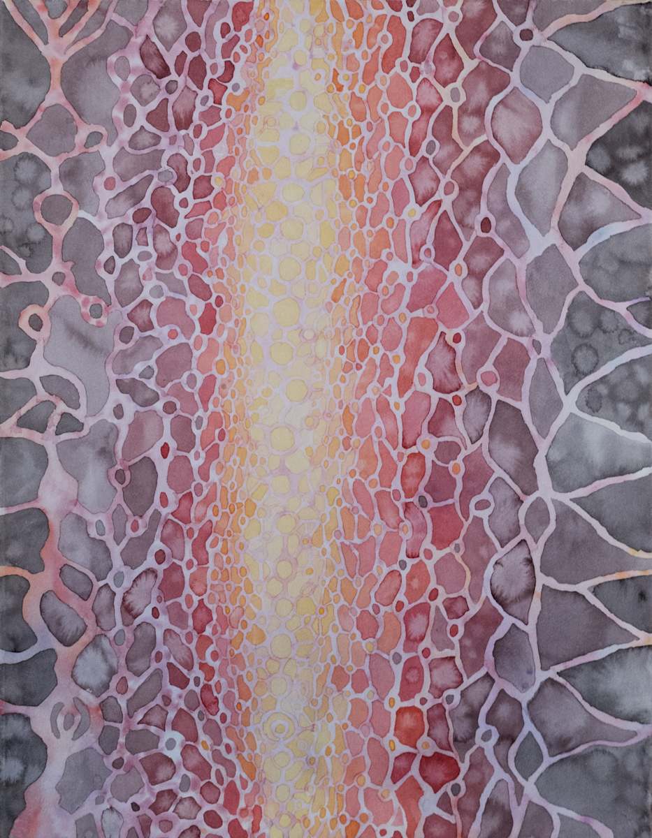 Plinko by Isaiah Brownstein 