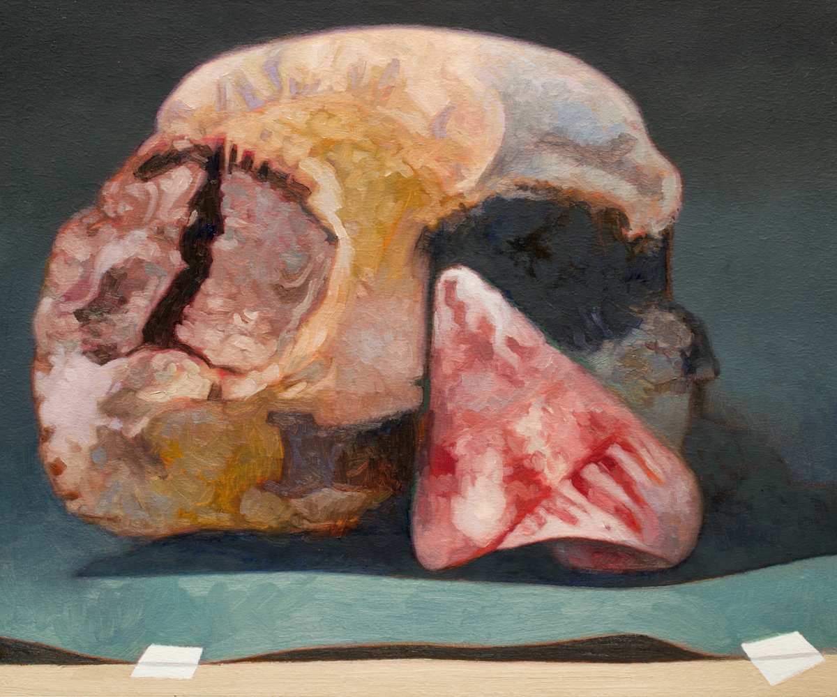 Duets Series - Nestled by Fred Hope  Image: Nestled - Still Life with Rock, Shell and Tape