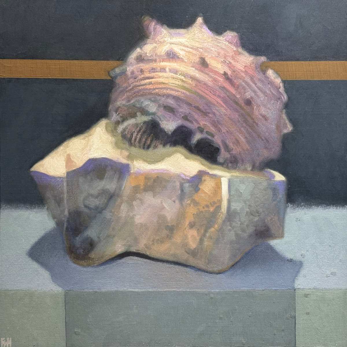 Duets Series - Murex on a Fractured Base by Fred Hope  Image: Murex on a Fractured Base