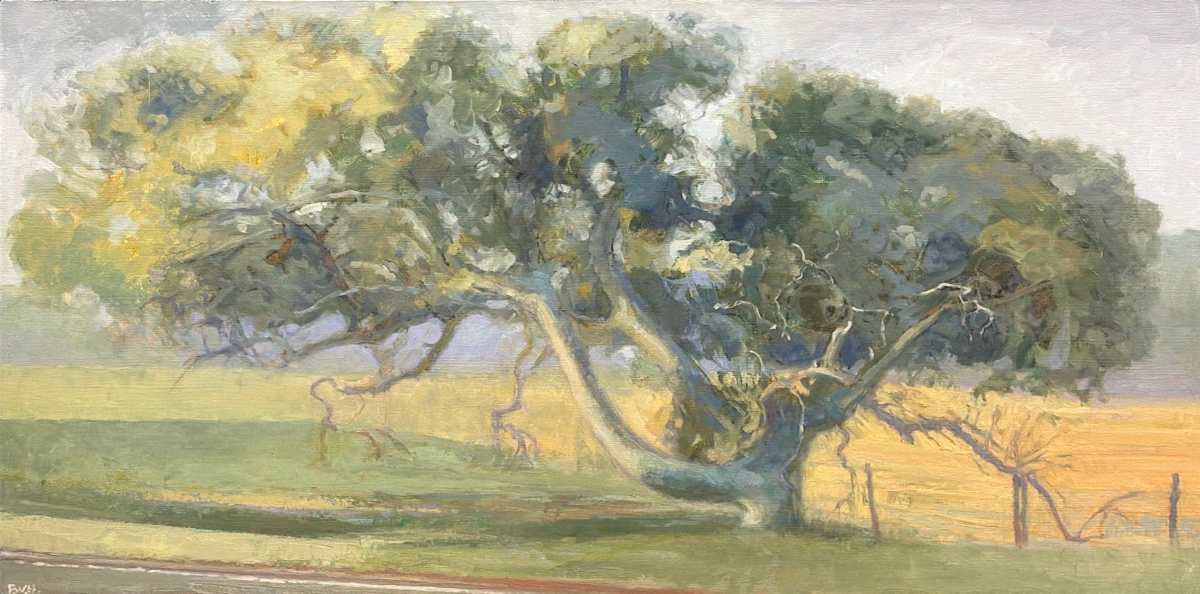 CA Oak series (study) by Fred Hope, Image 1.