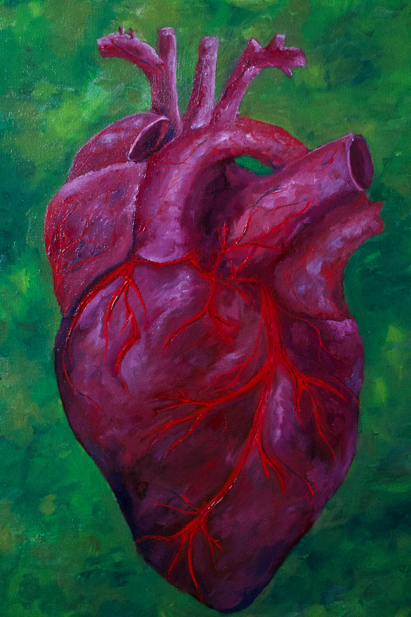 Study of the Heart in Color by Kelly Wein 