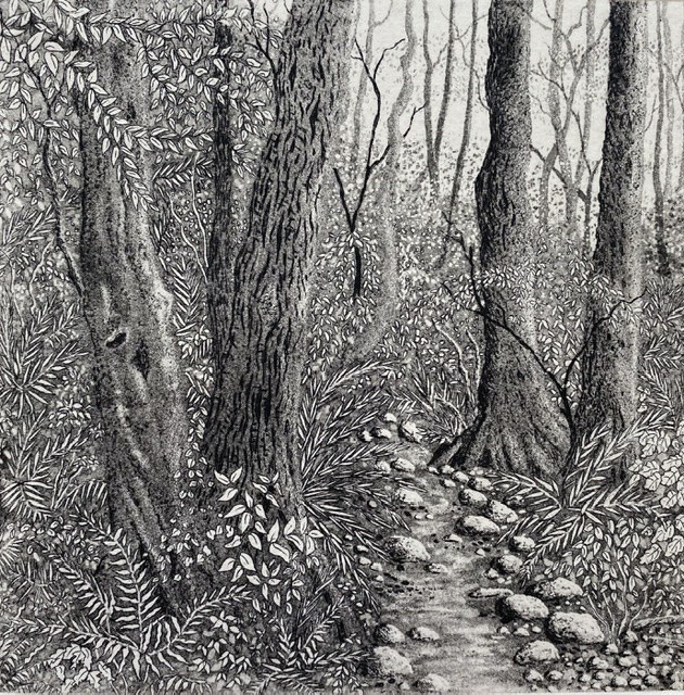 The path through the woods by stephanie Jane Rampton 