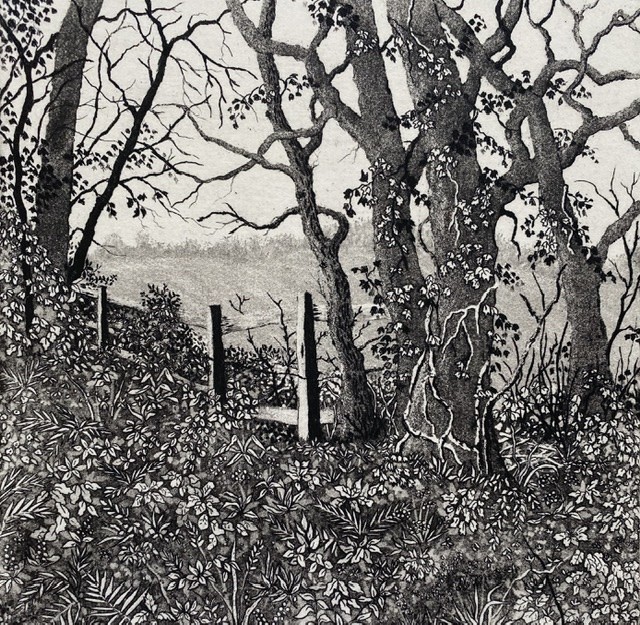 From the churchyard by stephanie Jane Rampton 