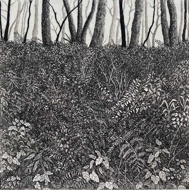 Fern bower by stephanie Jane Rampton 