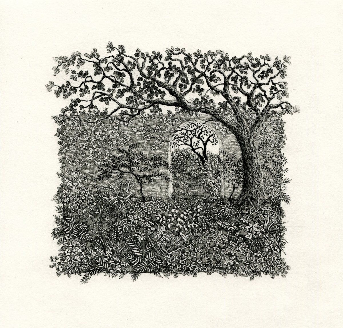 Beyond the walled garden 