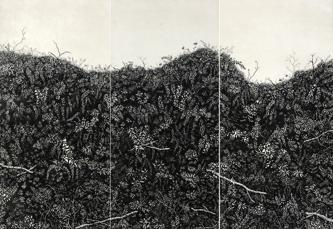 Lark rise hedgerow by stephanie Jane Rampton 
