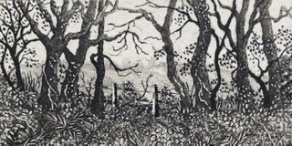 Swanwick by stephanie Jane Rampton 