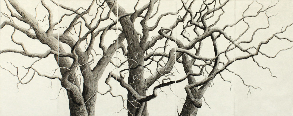 field edge by stephanie Jane Rampton 