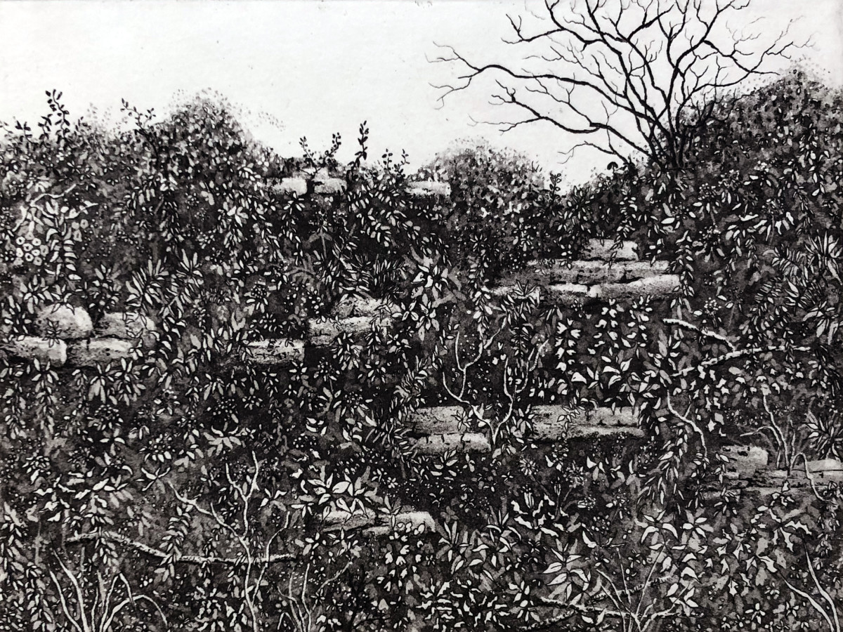 Fontley hedgerow by stephanie Jane Rampton 