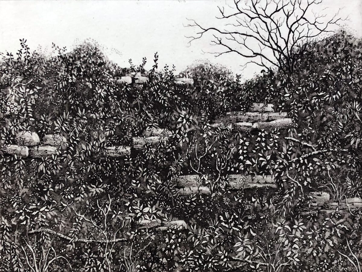 Fontley hedgerow by stephanie Jane Rampton, Image 1.