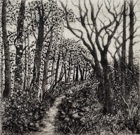 bere walk, Image 1.