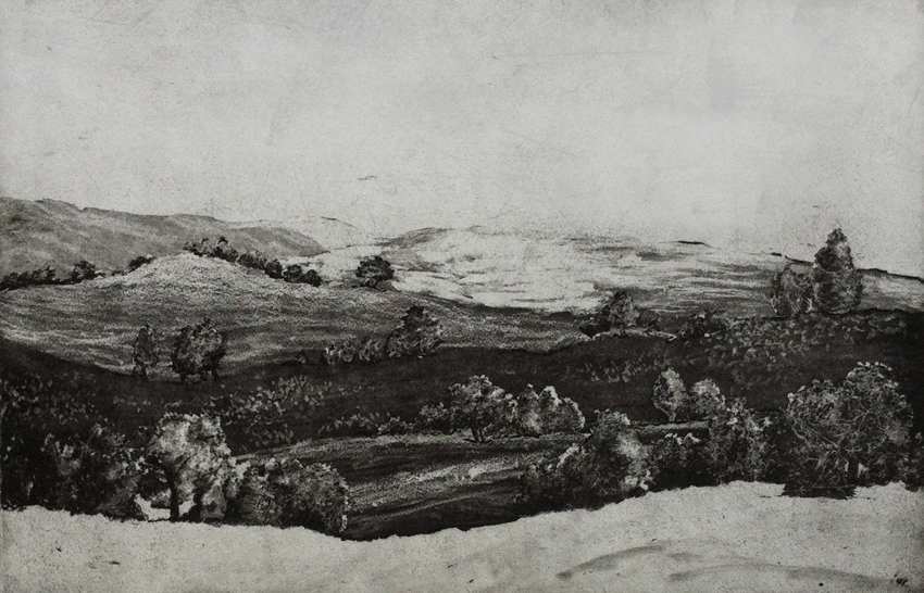 bird hill by stephanie Jane Rampton, Image 1.
