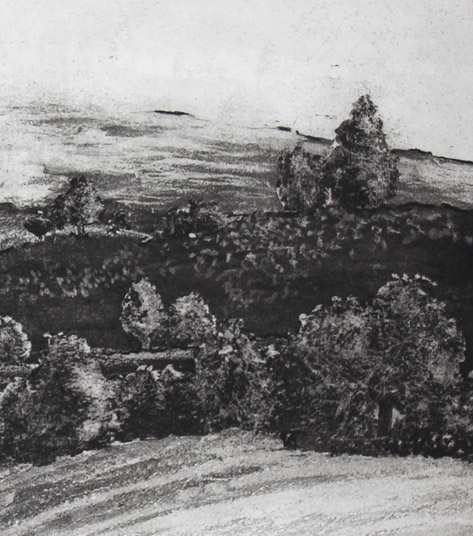 bird hill second state by stephanie Jane Rampton, Image 1.