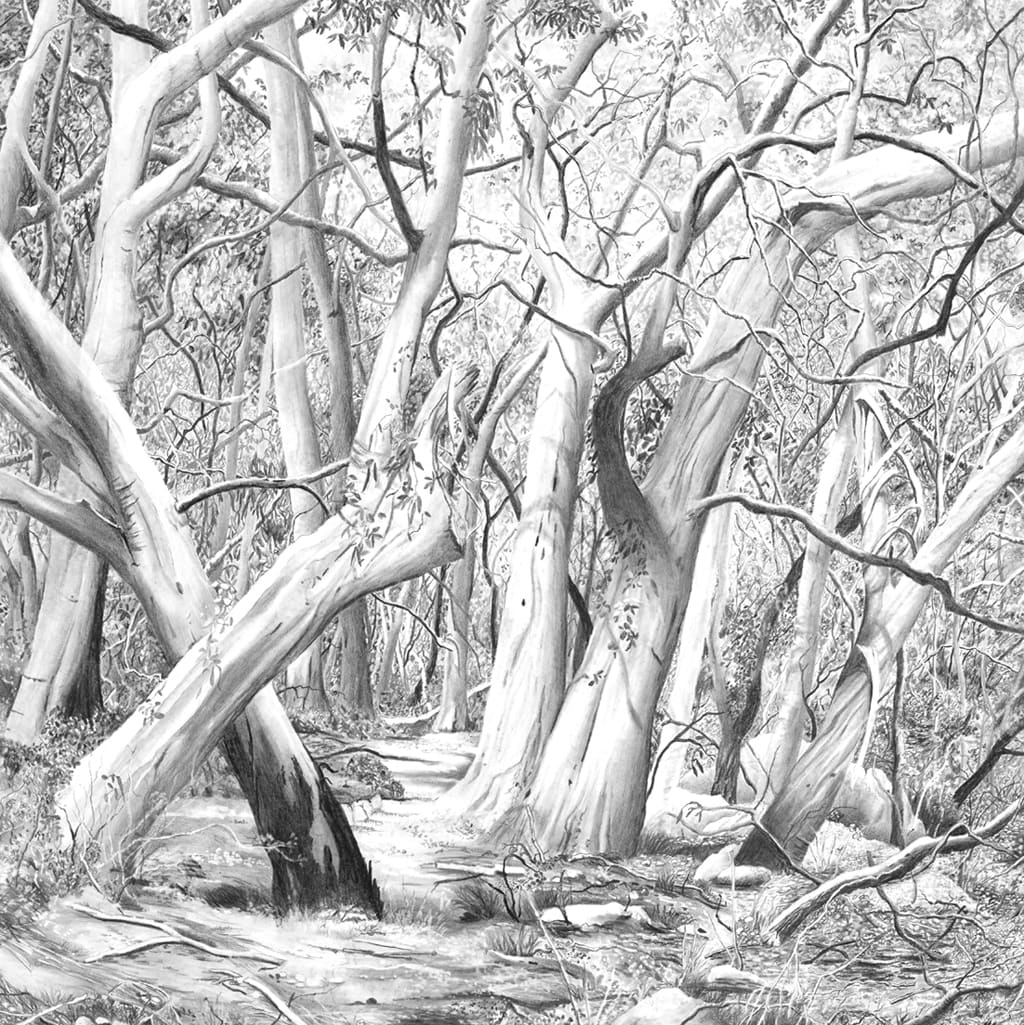 brobdingnag by stephanie Jane Rampton, Image 1.
