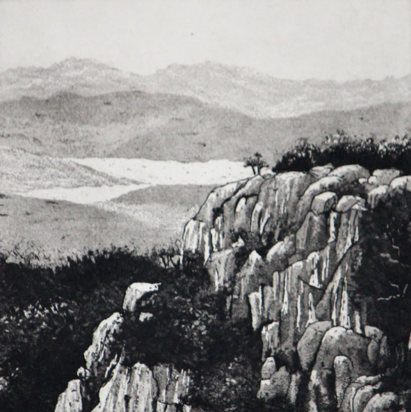 buffalo view by stephanie Jane Rampton 