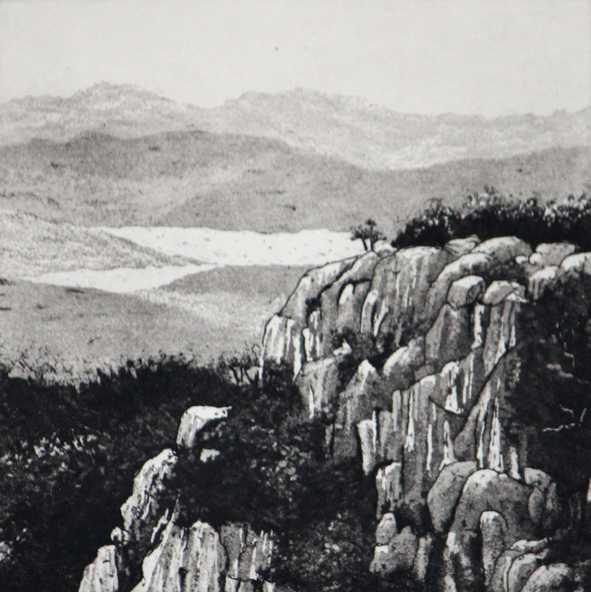 buffalo view by stephanie Jane Rampton, Image 1.