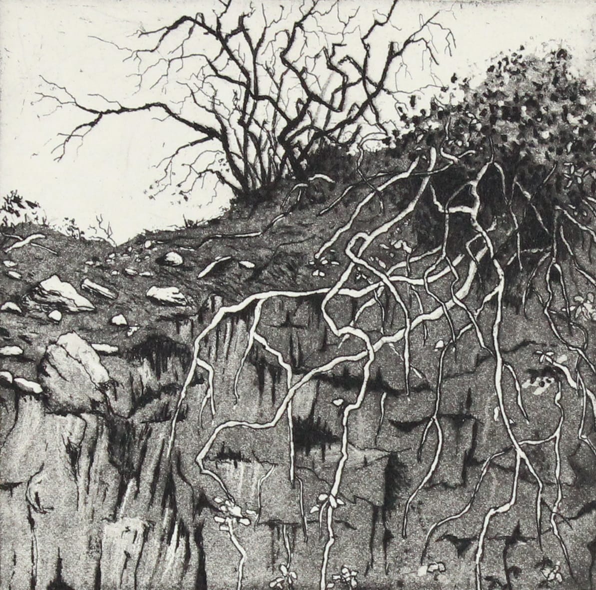 church path II by stephanie Jane Rampton, Image 1.