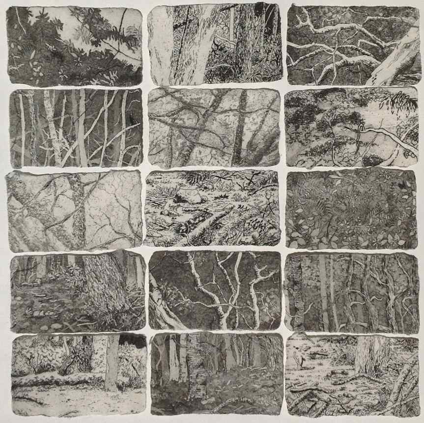 coup d'oeil II by stephanie Jane Rampton, Image 1.