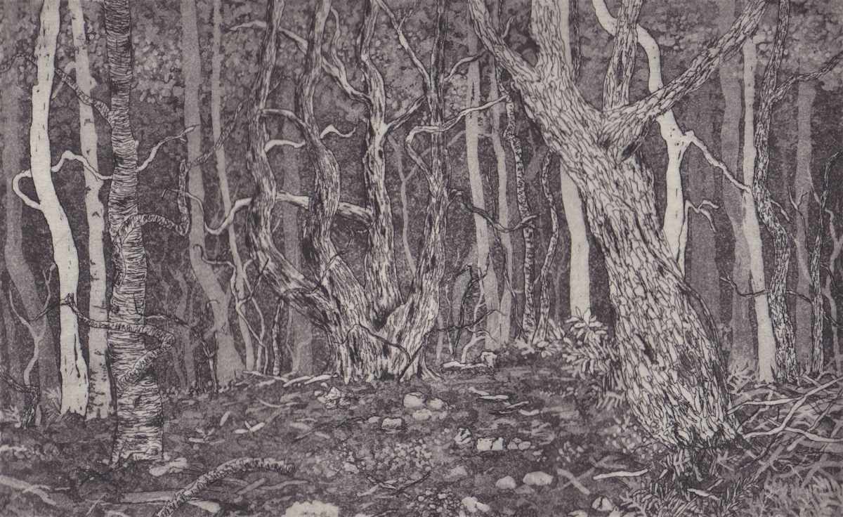 cradle mountain II by stephanie Jane Rampton, Image 1.