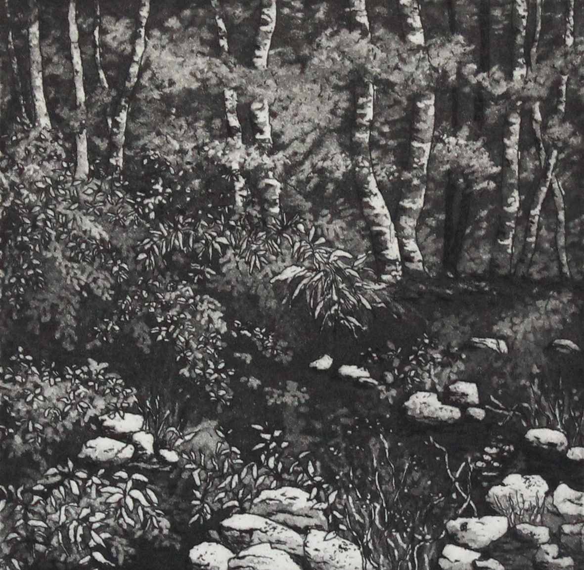 dappled by stephanie Jane Rampton, Image 1.