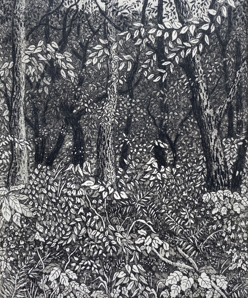 deep in the woods by stephanie Jane Rampton 