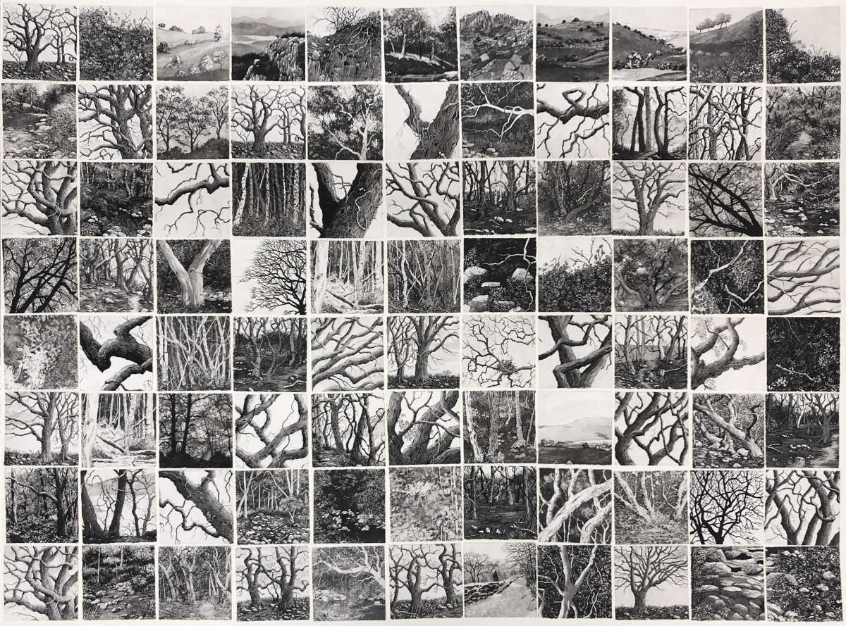 eighty eight memories II by stephanie Jane Rampton 