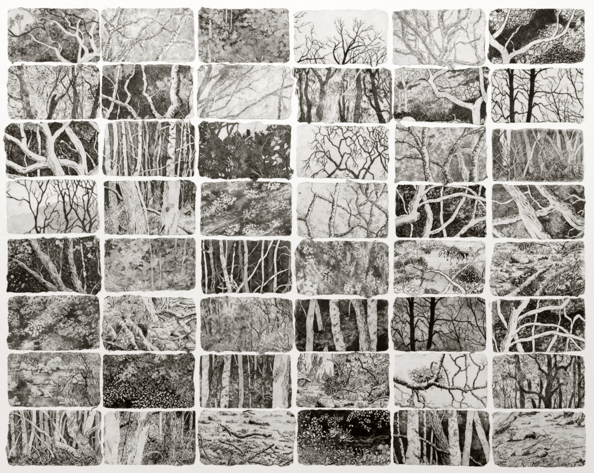 emotive fragments by stephanie Jane Rampton 