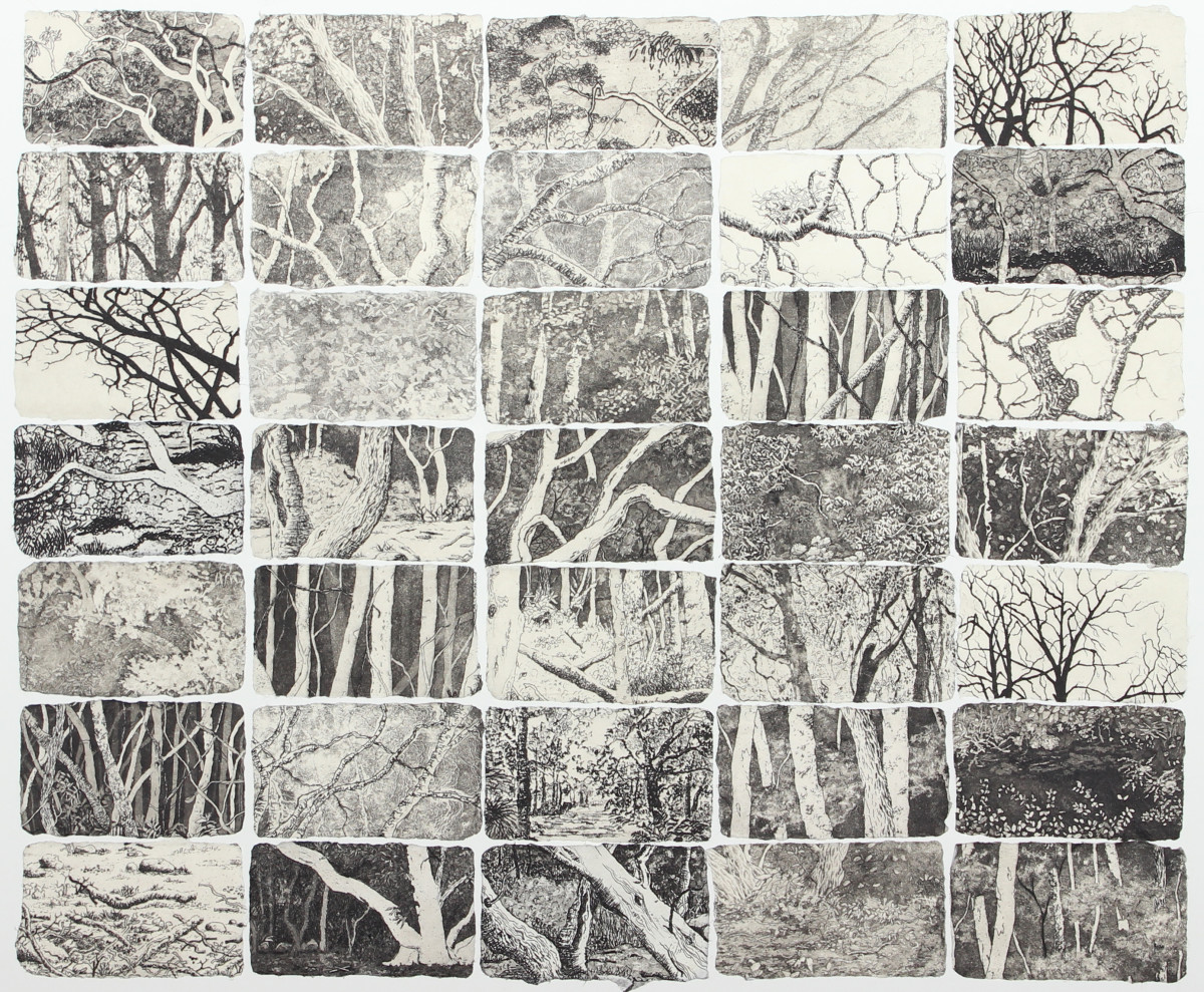 emotive fragments II by stephanie Jane Rampton 