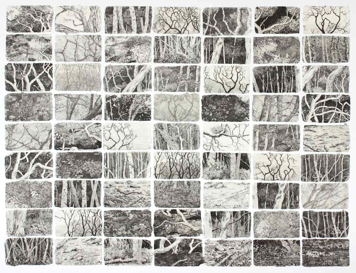 entrapercevoir by stephanie Jane Rampton, Image 1.