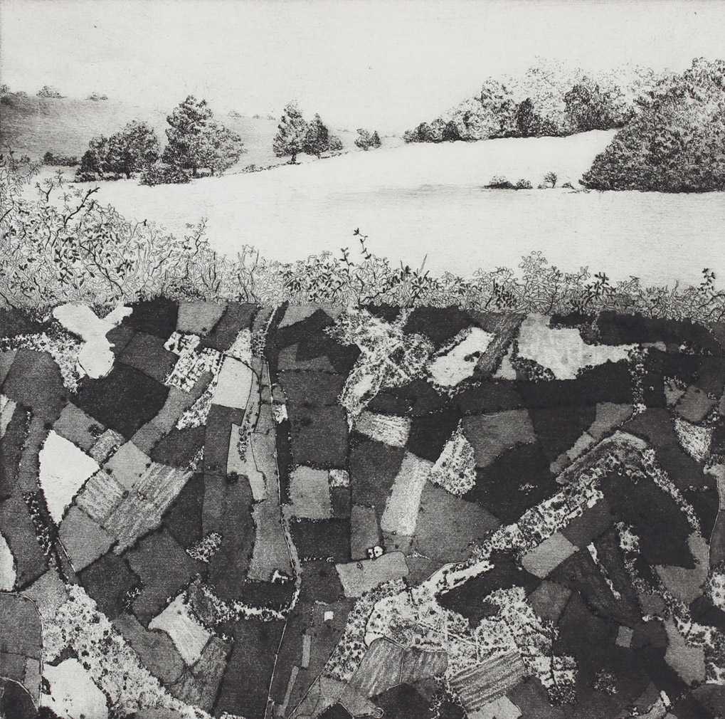 finchdean by stephanie Jane Rampton, Image 1.