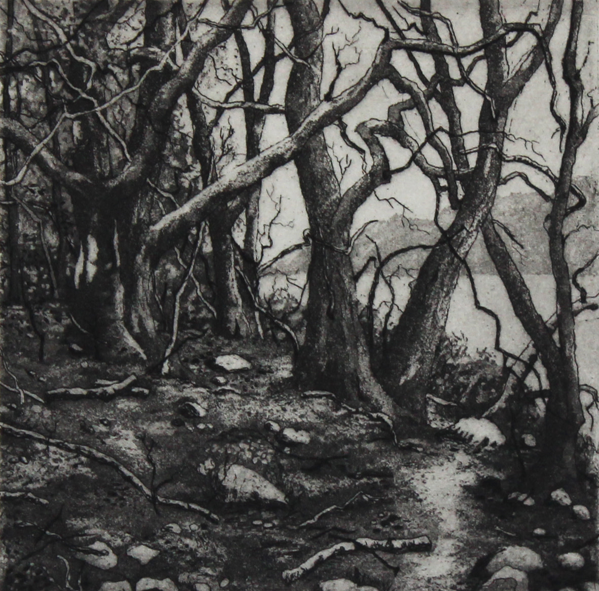 glenridding by stephanie Jane Rampton 