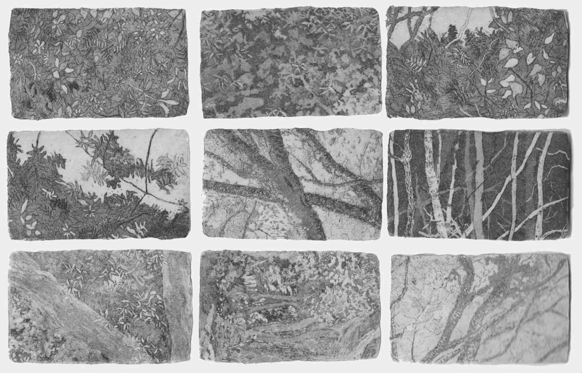 glimpse by stephanie Jane Rampton, Image 1.