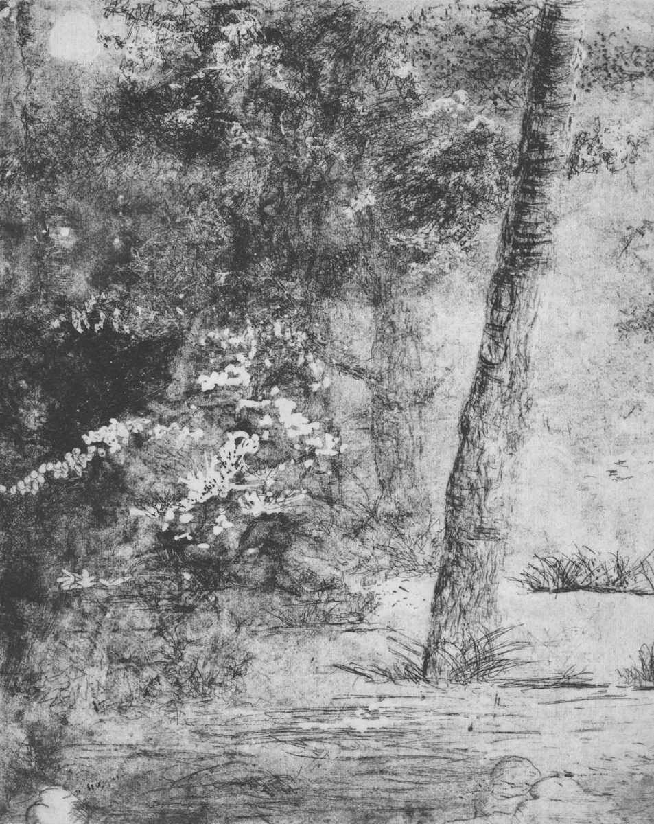 gloaming by stephanie Jane Rampton, Image 1.