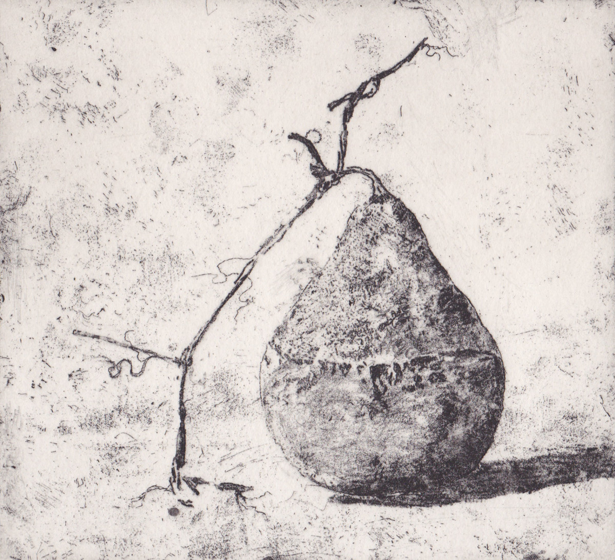 gourd by stephanie Jane Rampton 