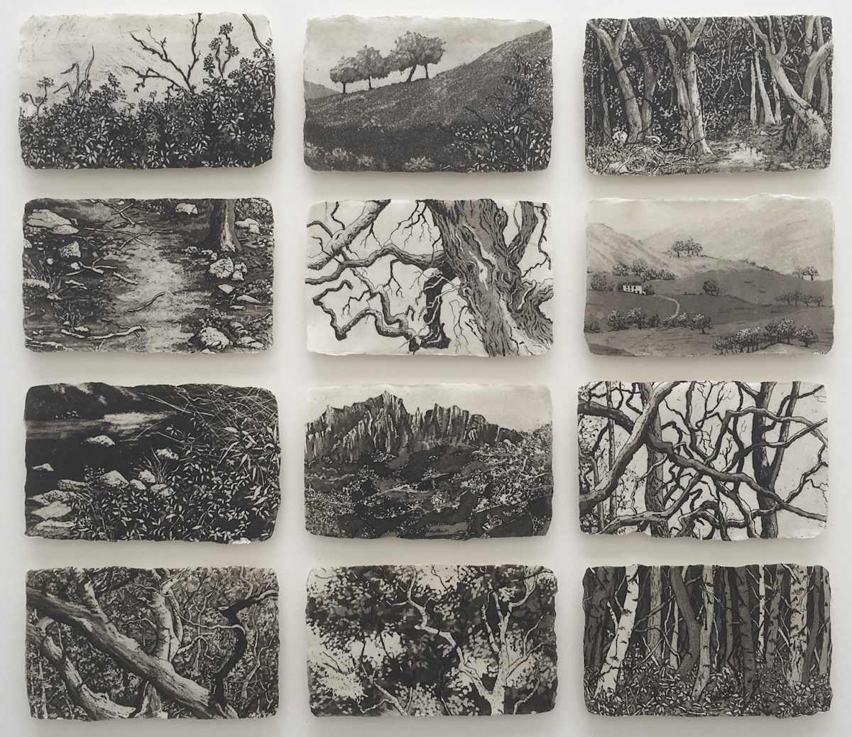 heartlands II by stephanie Jane Rampton, Image 1.