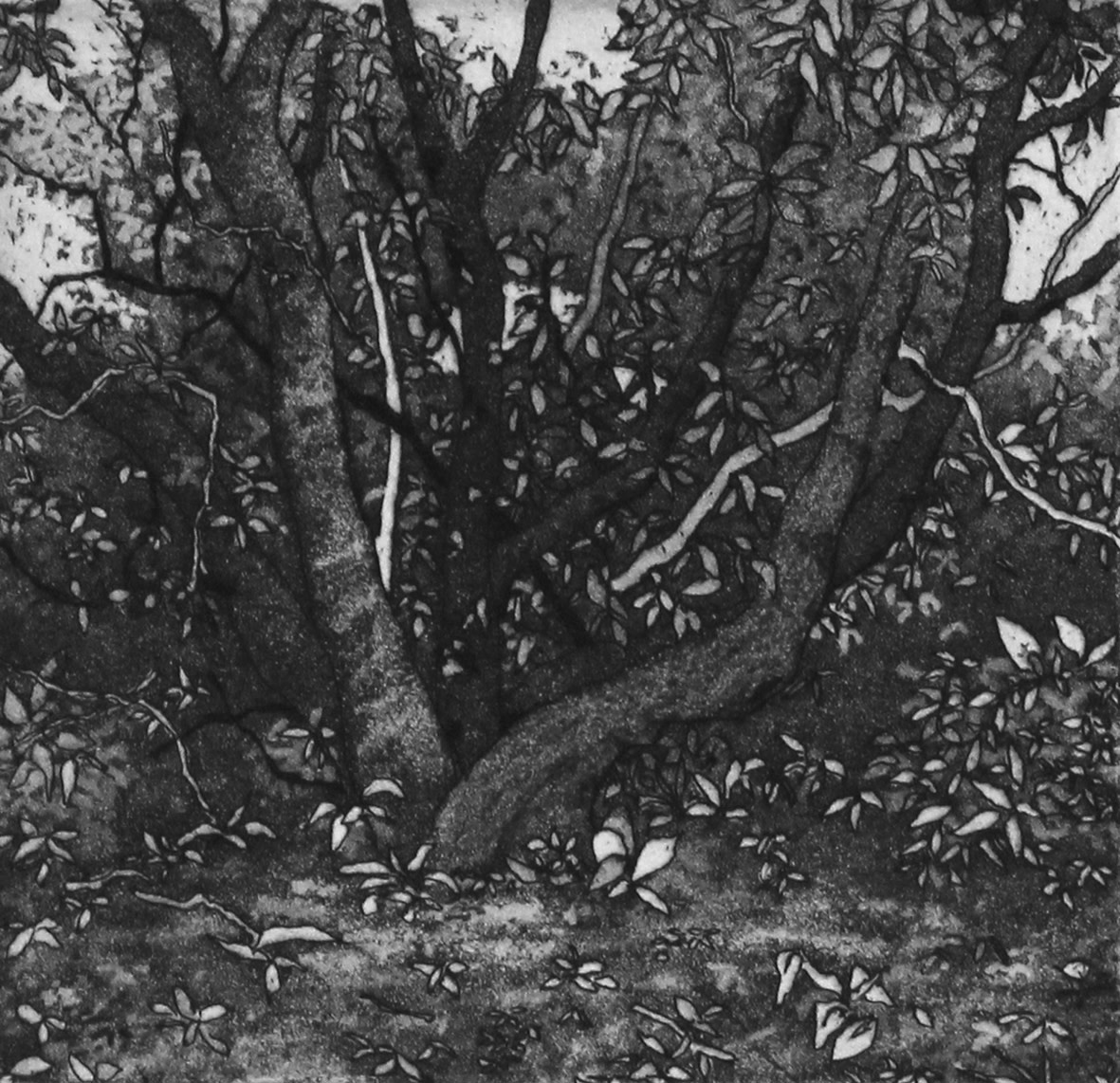 hiding place by stephanie Jane Rampton 