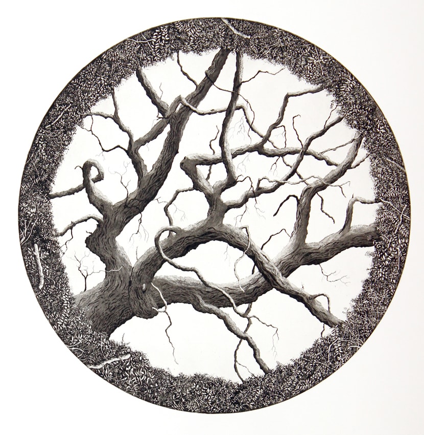 look up by stephanie Jane Rampton, Image 1.